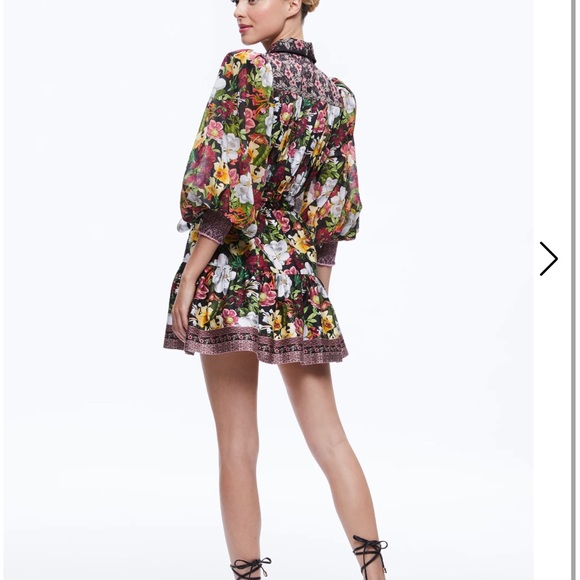 COPY - TIFFIE PUFF SLEEVE MINI DRESS - Picture 2 of 2